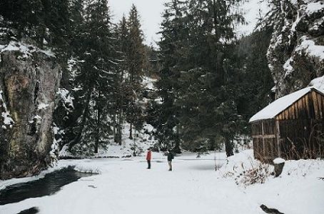 The Community in Winter Image